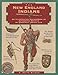 New England Indians (Illustrated Living History)
