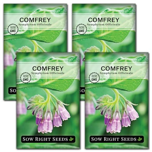 Sow Right Seeds - Comfrey Seeds for Planting - Non-GMO Heirloom - High-Yield Comfrey for Garden Medicinal Herbs and Soil Improvement - Outdoor or Indoor Herb Garden - Use for Home Remedies (4)