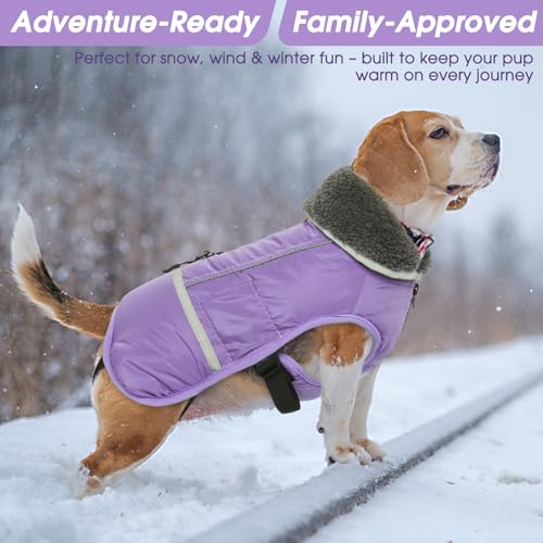 Image of QBLEEV Warm Dog Coat, Reflective Dog Jacket, Waterproof Dogs Winter Coat
