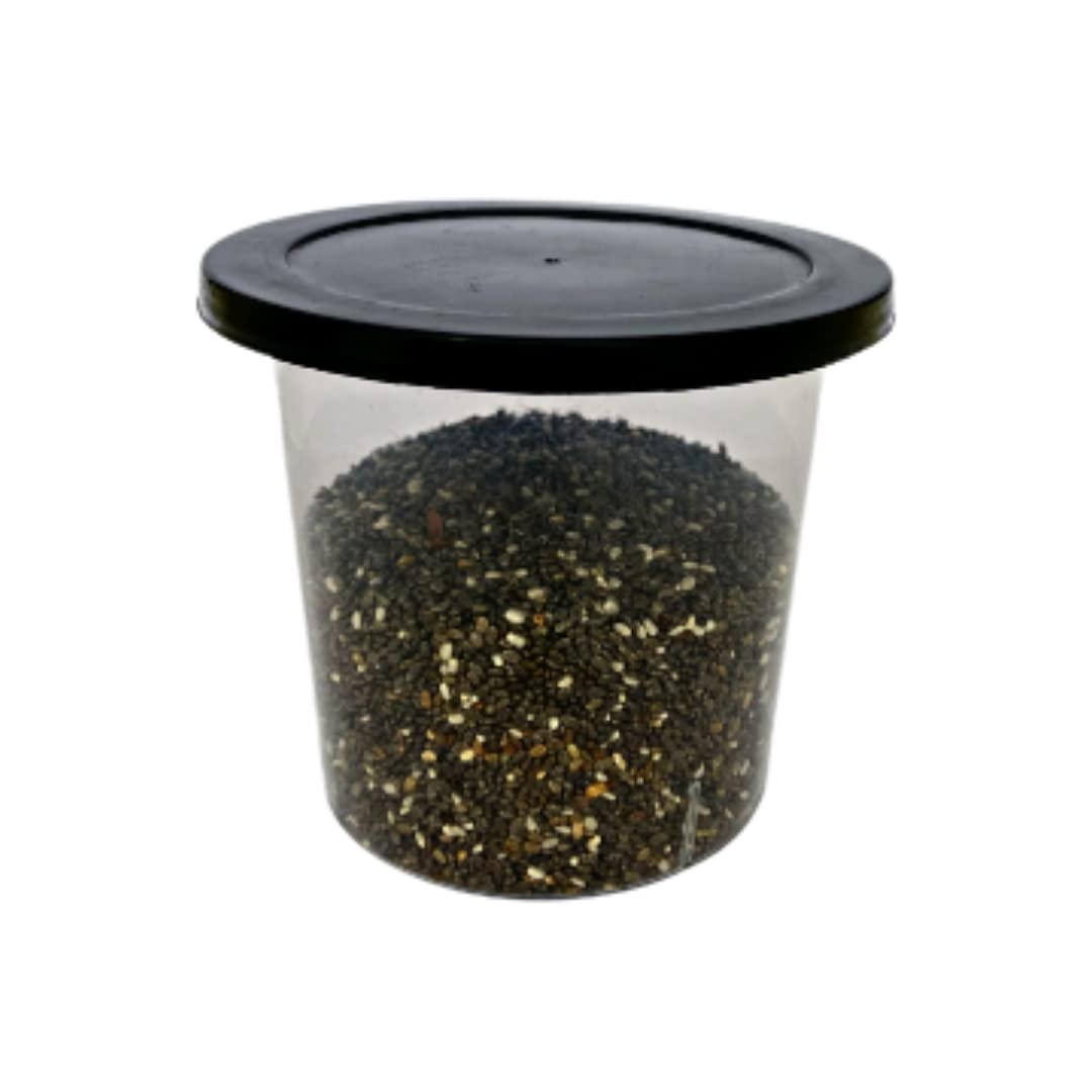 Alpha Basics 150ml Plastic Mini Kitchen Storage Boxes (Pack of 20)