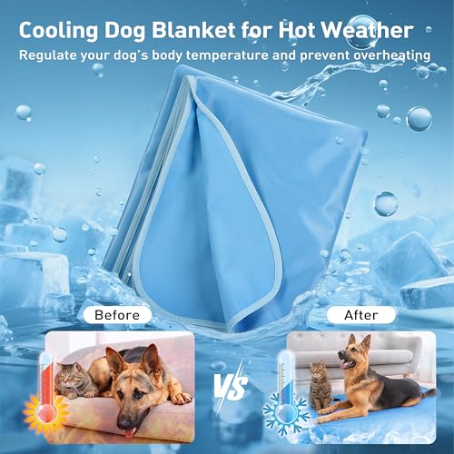 Pawsee wasserdichte Kühldecke Hunde Katze, Waschbar Hundedecke Kühlend, wasserdichte Hunde Kühlmatte für Sofa Bett Outdoor, Verwendbarer Überwurf Couchbezug Möbelschutz, 75 x 50 cm, Blau