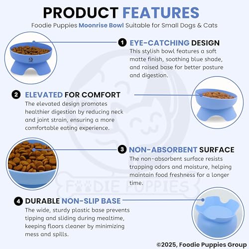 Image of Foodie Puppies Cat Food and Water Raised Feeder - 300ml (Moonrise Bowl) | Durable, Anti Vomiting, Healthy Cat Bowl for Persian Cats Prevent Tipping Over | Elevated Feeder for Cats and Small Dogs