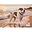American Bulldog
