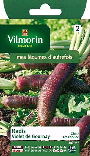 Vilmorin Jardin - Radis Violet Gournay Ser2
