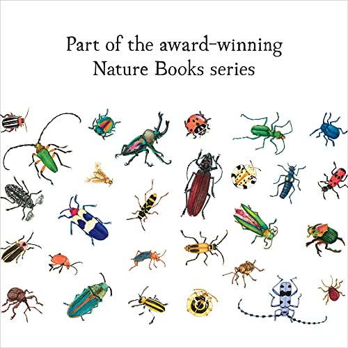 A Beetle Is Shy (Sylvia Long) - Image 3