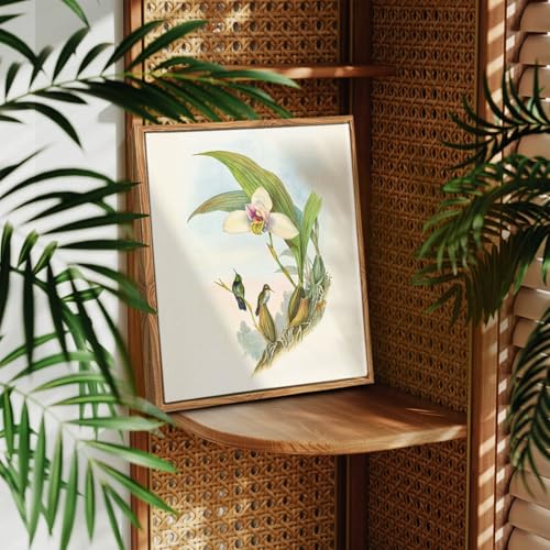 crmotu Bird Framed Wall Art, Hummingbird Daffodil Vintage Canvas Prints, Animal Botanical Nature Wall Decor, Floral Retro Rustic Kitchen Decorations Wall Pictures for Bedroom Desktop, 9x11inch
