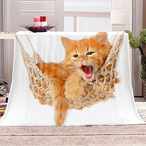 Couverture chaton dore en microfibre pour vos soirees cocooning - 2