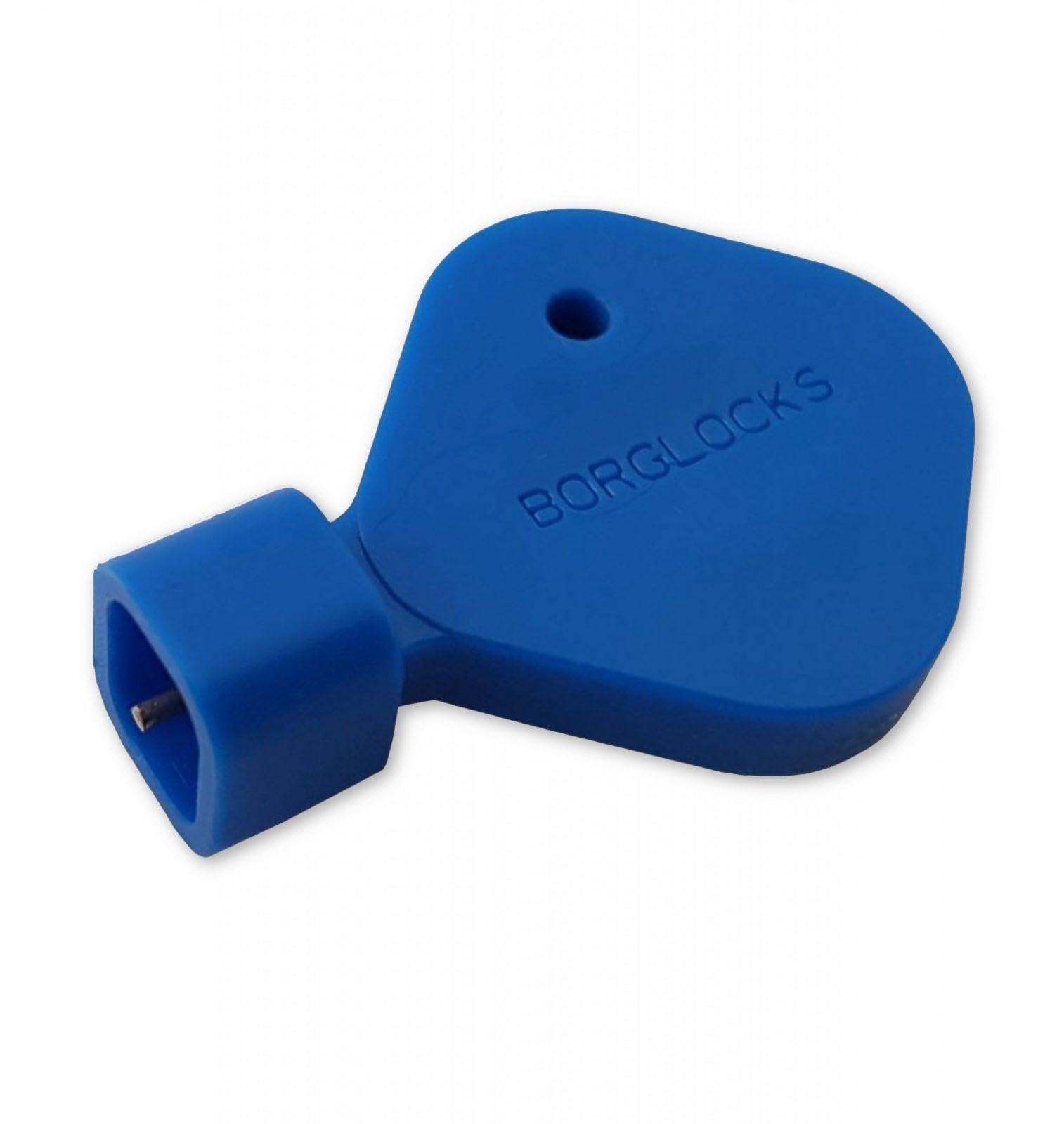 Borg Locks Replacement Code Change Key SECP01 for BL2000 BL3100 BL3400 BL4400 ECP Models