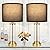Black Gold Bedroom Lamps Set of 2 - Touch Bedside Lamp for Night Stands with USB C+A, 3 Way Dimmable Nightstand Table Lamps for Living Room, Modern Glass Lamp for Bed Side Guest Room