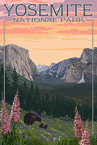 Lantern Press 9x12 Inch Art Print Wall D√©cor, Yosemite National Park, California, Bear and Cubs with Flowers