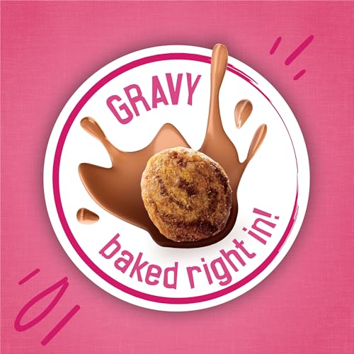 Purina Friskies Gravy Swirlers With Flavors of Chicken, Salmon and Gravy Dry Cat Food - 3.15 lb. Bag