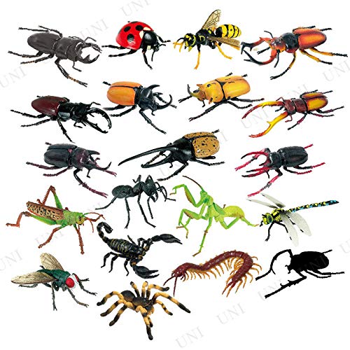 Amazon.co.jp: [6個セット] 4Dパズル (昆虫DX) : おもちゃ