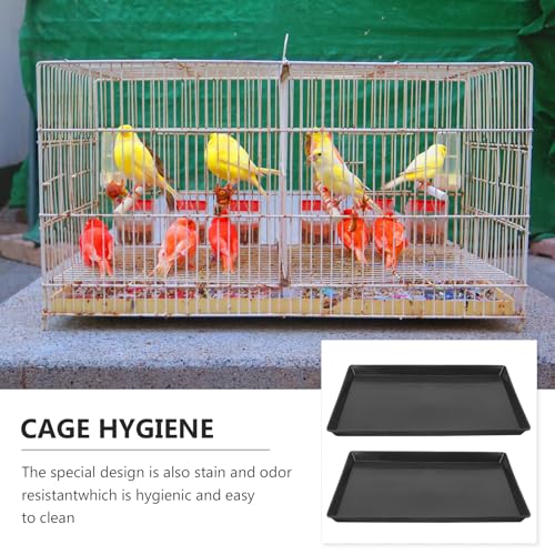 Beavorty 2pcs Large Dog Kennel XL Dog Crate 42 Inch Dog Crate Pet Poop Holder Dog Cage Training Pan Dog Crates for Large Dogs Songbird Massage Wax Crate Tray Cat Litter Box Plastic Birdcage Beavorty 2pcs Large Dog Kennel XL Dog Crate 42 Inch Dog Crate Pet Poop Holder Dog Cage Training Pan Dog Crates for Large Dogs Songbird Massage Wax Crate Tray Cat Litter Box Plastic Birdcage