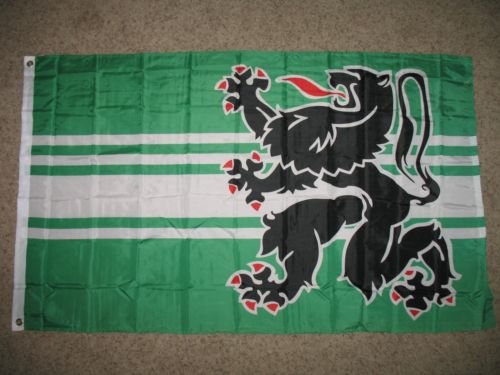 Moon Knives 3x5 East Flanders Flemish Lion Polyester Flag 3x5 Banner - Party Decorations Supplies For Parades - Prime Outside, Garden, Men Cave Decor Flag