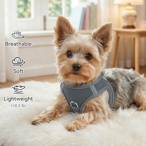 Joytale Hundegeschirr Kleine Hunde, Reflektierend Weich Gepolstert Geschirr, Air-Mesh Brustgeschirr Hund Klein, S, Grau