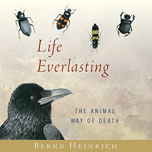 Life Everlasting by Bernd Heinrich episode artwork
