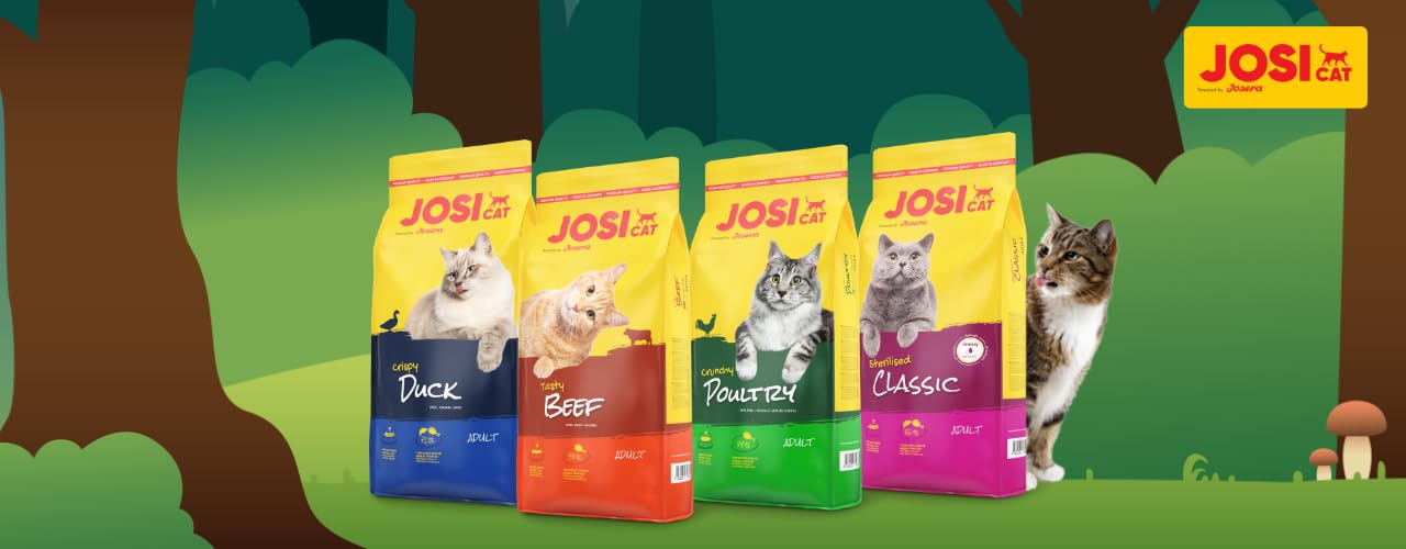 JosiCat Tasty Beef (1 x 10 kg), sucha karma dla dorosłych kotów, karma dla kotów, powered by JOSERA, 1 opakowanie