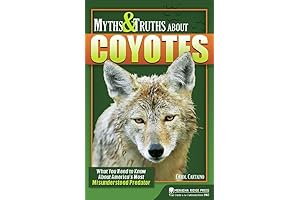 Myths & Truths About Coyotes: What You Need to Know About America's Most Misunderstood Predator