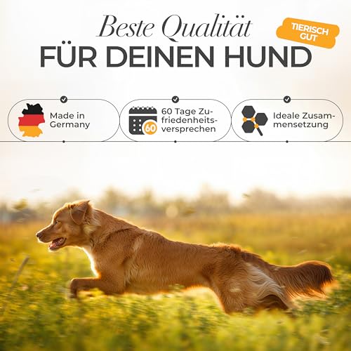 ENEMEL Multivitamin Hund Tropfen 100 ml – flüssige Vitamine für Hunde für leichte Einnahme, Hunde Multivitamin Komplex, Hund Nahrungsergänzungsmittel, Made in Germany