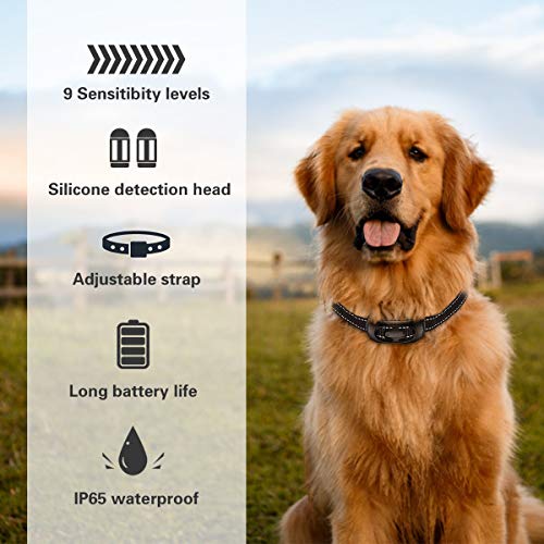 CLEEB-BOUG Dog Bark Collar, No Bark Training Rechargeable Anti Barking Collar with 9 Adjustable Sensitivity and… - Image 3