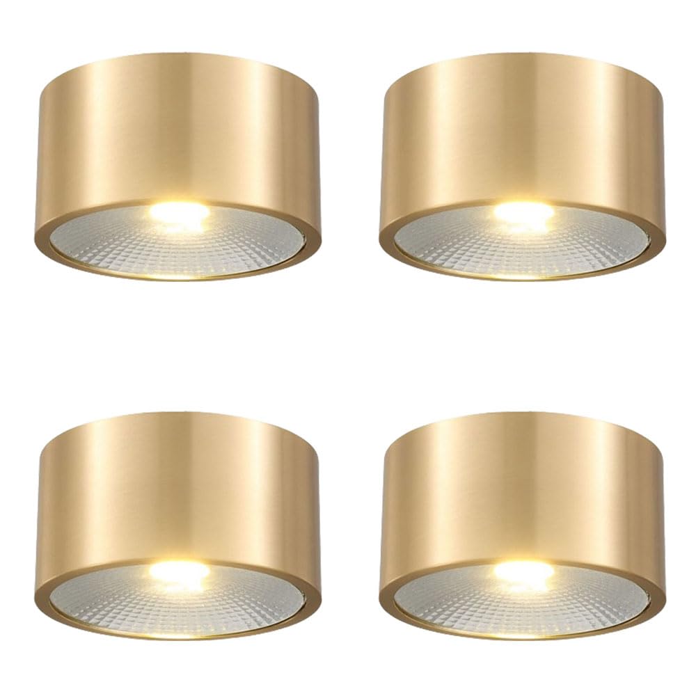 Plafonnier à LED en laiton brossé 5W et disque lumineux réglable