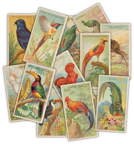 Proyectos de medios mixtos con ephemera de cartulina Craft Consortium de pájaros para manualidades