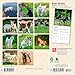 Baby Goats | 2026 7 x 14 Inch (Hanging) Monthly Mini Wall Calendar | BrownTrout | Domestic Animals