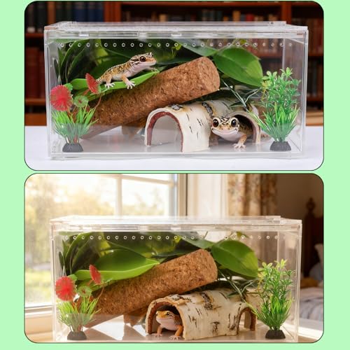 Cachette ermite crabe et végétation de cage caméléon - 15