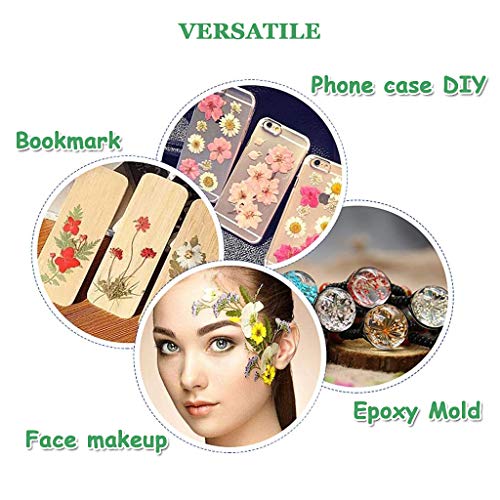 image for TAEERY 51 PCS Real Dried Pressed Flowers Leaves Petals for Crafts - Co