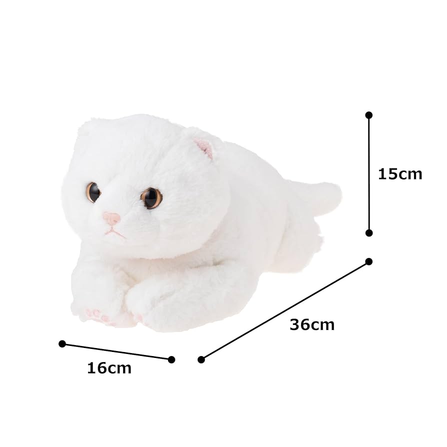 ふらんすねこ　0507 XWFSG10H2 BLACK LABEL シグネチャー360N ロゴバンド 4分丈