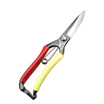 Amazon | 飛庄 刈込鋏片手 片刃 金止 270mm | 刈り込みばさみ