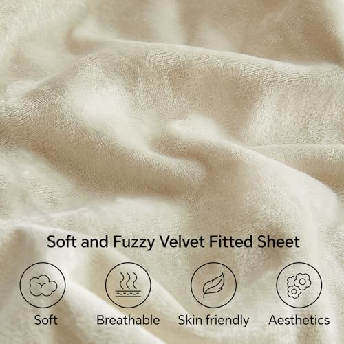 BEDELITE Velvet Fitted Sheet and Pillowcases Set, Luxury Soft Fuzzy Bottom Sheet with Reinforced Elastic Corner Straps, Deep Pocket up to 15 Inch, 1 Fitted Sheet and 2 Pillowcases (Full, Cream)