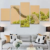 SIGNWIN 5 Panel Canvas Wall Art Modern Art Chic Expressive Frog Multicolor Photography Reptiles Snakes for Home Decorations Ready to Hang - 60