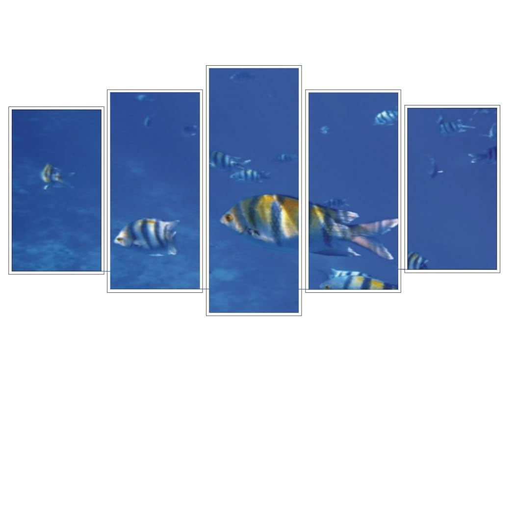 Polyptychon Alurahmen Weiß 132 x 72 cm für Malen nach Zahlen | Fertig montiert, mit Rückwand, ideal für Malen nach Zahlen Bilder z.B. von Schipper, ohne Glas