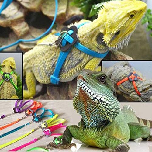DXQDXQ Reptielen harnas harnas riem verstelbaar 1,2 m lijn en harnas gemaakt van nylon voor kleine huisdieren om te… - Image 4