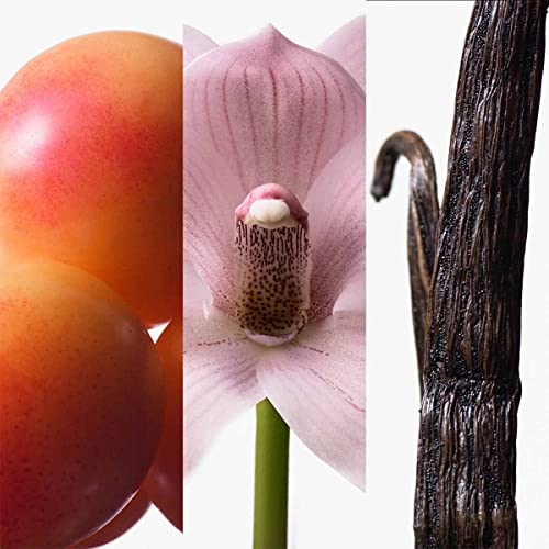 Calvin Klein Euphoria For Women Eau De Toilette, 1.6 Fl Oz #TOP3