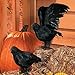 Fun Express Feathered Crows | 4-Pack | Great Realistic Display for Party and Home Halloween Decoration