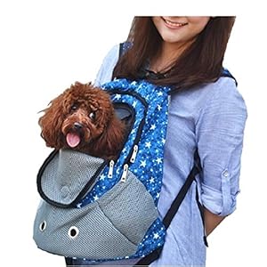 VICTORIE Hondendraagtas Rugzak Kat Hondentas Reisrugzak Schoudertas Verstelbaar Ademend Mesh Draagbaar voor Fietsen, Wandelen, Wandelen, Kamperen Buiten