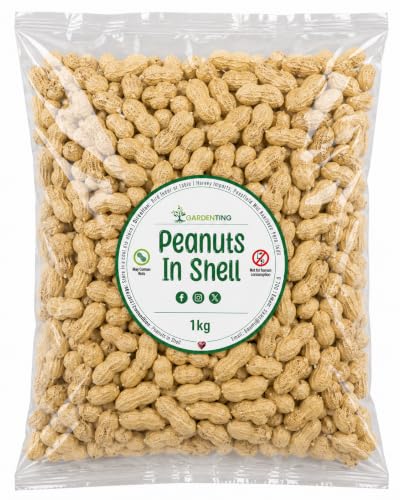 Peanuts in Shell Monkey Nuts 1kg