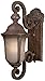 Minka Lavery 8990-66 1 Light Outdoor Wall Mount Lighting, Black