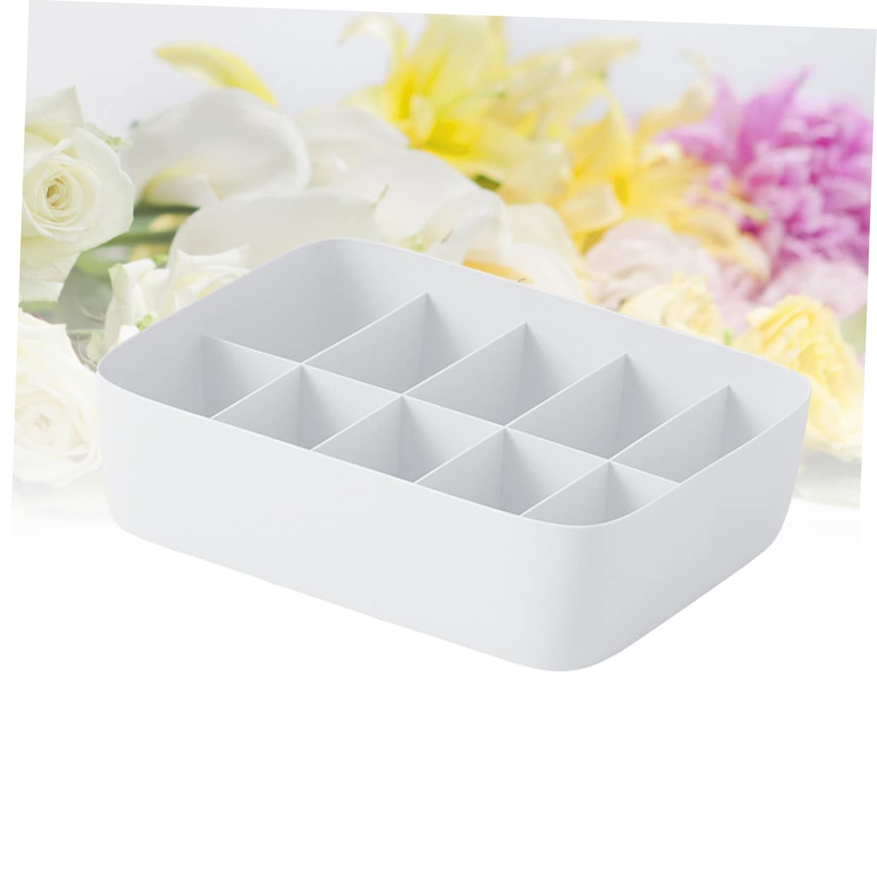 Scatola Organizer per Biancheria Intima con 10 Scomparti Bianca