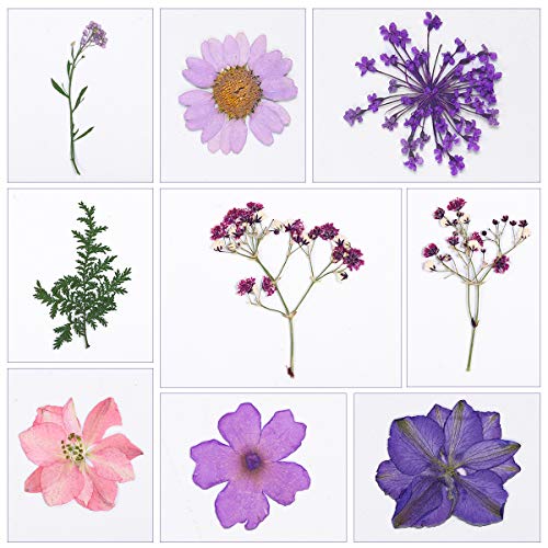 Milisten Dried Flower Material Bag 5.71X4.13 Inch Diy Handmade Mixed Flower Specimens for Home Wedding Party Table Decoration - Image 4