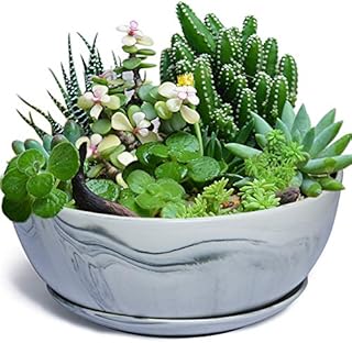 EPGardening 26CM Large Planter Pot Marble Pattern Ceramic Succulent Planter Big Plant Pot Succulents Container Flower Pot Indoor Outdoor Decor