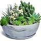 Sukkulenten-Blumentopf G EPGardening 25,4 cm Keramik mit Marmor-Muster