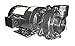 Dayton Cast Iron 2 HP Centrifugal Pump 208-230/460V, 2ZWR1