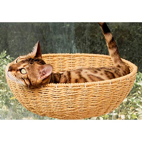 Tour d'activités chaton condo arbre de chat poteaux à gratter jouet kitty