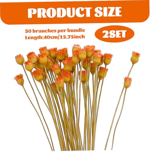 Bouquet 2PCS flores secas naranja 40 cm con tallos miniatura 4