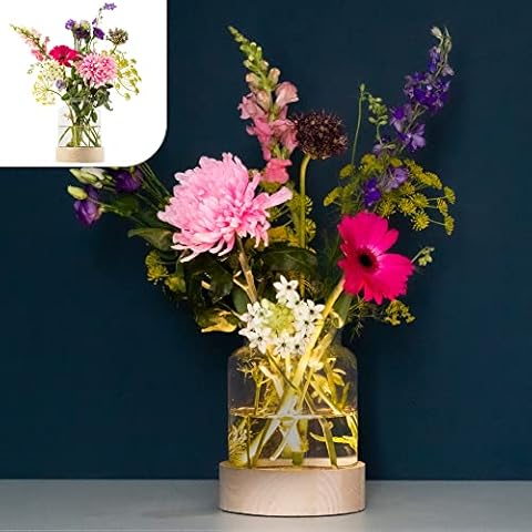 Gadgy Glass Flower Vase Light Cover
