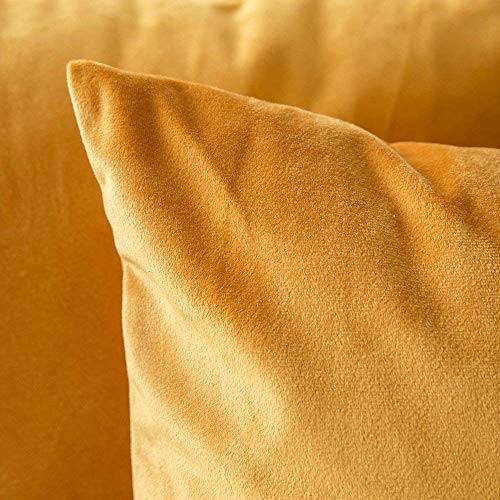 Image of Khooti Velvet Cushion Cover Pack of 1-12 inch x 24 inch / 30 x 61 cm - Color - Gold - Soft Pillow Covers Cushion Case for Sofa Bedroom Livingroom Chair Car, Cushion Cover