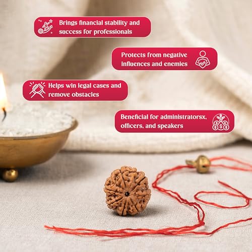 Image of Gemsmantra 7 Mukhi Rudraksha Bead Without Silver Pendant | Regular Size |Original Nepali | Natural and Lab Certified | Represents Goddess Lakshmi, Enhances Wealth, Prosperity & Success For Men & Women